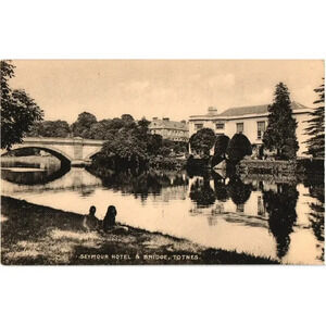 Seymour Hotel & Bridge, Totnes. England Postcard